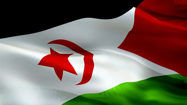 Berber flag. National 3d Western Sahara flag waving. Sign of Berber seamless loop animation. Western Sahara flag HD Background. Berber flag Closeup 1080p Full HD video for presentation. Berber flags f