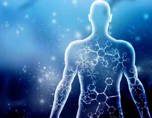 2d illustration Human Male Muscle Body
