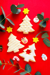 Christmas tree shaped cookies with eucalyptus leaves on red background with copy space