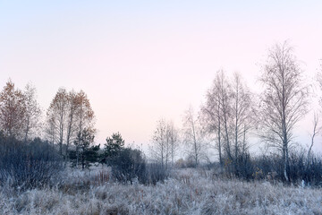 The grass is covered with white frost in the early morning. The shining of the sun in the fog. The...