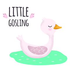 White and pink Goose. Cute vector illustration in simple hand-drawn cartoon style. Cute cartoon ducks. Character bird with texture