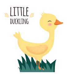 Yellow little duck. Sweet duckling in water. Cute vector illustration in simple hand-drawn cartoon style. Cute cartoon little goose. Gosling in the grass. Character bird with texture.