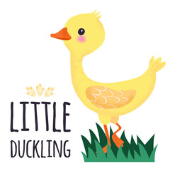 Yellow little duck. Sweet duckling in water. Cute vector illustration in simple hand-drawn cartoon style. Cute cartoon little goose. Gosling in the grass. Character bird with texture.