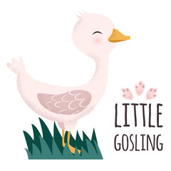 White and pink little Goose. Sweet gosling in water. Cute vector illustration in simple hand-drawn cartoon style. Cute cartoon little duck. Duckling in the pond. Character bird with texture.