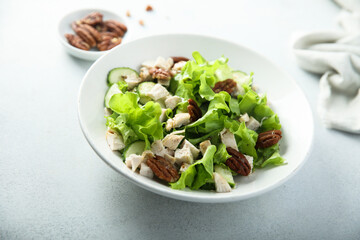 Green salad with chicken, pecan and sun dried tomatoes