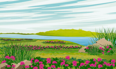 A meadow with herbs and blooming clover on the river bank. Realistic vector landscape