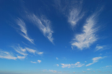 Obraz premium The blue sky background of the feather cloud