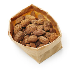 Amomum villosum Lour  isolated on white background