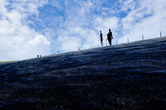 Bikers on a dike near Holwerd, Fryslan, Friesland province, The Netherlands