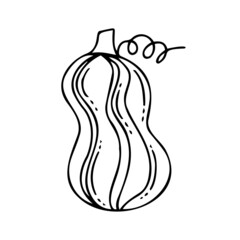 Isolated vector black and white illustration of decorative lined silhouette of pumpkin