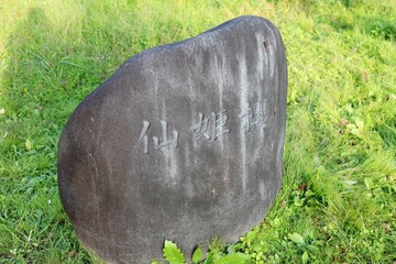 Sendai City, Miyagi Prefecture Japan, November 2021.
A stone monument of Mego-hime cherry blossoms...