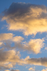 Fototapeta na wymiar Warm evening clouds and blue sky, vertical shot