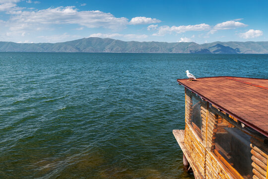 Sevan lake and flying seagull over waves, Nature of Armenia concept