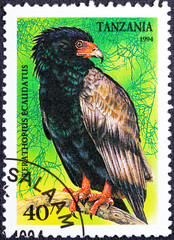 TANZANIA - CIRCA 1994: A stamp printed in Tanzania shows The bateleur Terathopius ecaudatus , circa 1994.