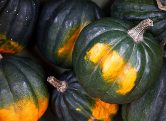 green Acorn Winter Squash on display at the farmers market, close up