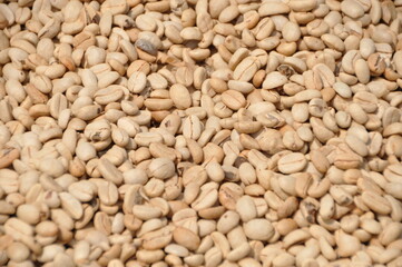 closeup of unroasted coffee  beans