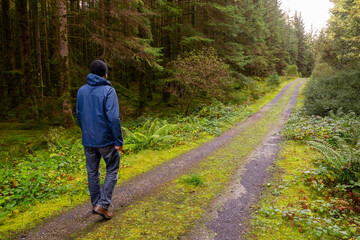 Man walking on a small road in a forest. Fresh air and healthy habit concept. Man dressed in blue...