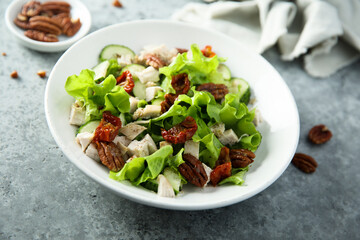 Green salad with chicken, pecan and sun dried tomatoes