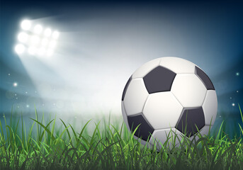 Fototapeta na wymiar Soccer ball lies on the grass of the stadium