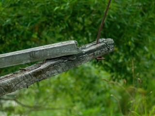 a collapsed wooden pedestrian bridge over the river