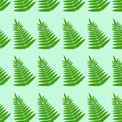 Beautiful green pattern of repeating fern leaves on colored background. Vector illustration. Image for printing on fabric postcards office use as background in menu banners posters