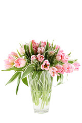 Beautiful Flowers Pink Tulips Glass Vase Many Flowers Close Up Isolated