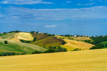 Rural landscape near Ostra Vetere and Cingoli, Marche, Italy
