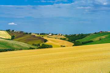 Rural landscape near Ostra Vetere and Cingoli, Marche, Italy