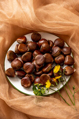 the fruit of the chestnut tree, native to the temperate climates of the northern hemisphere. The fruit is a very spiny subglobose capsule. Accompanied by dandelion