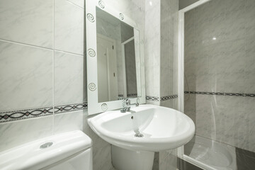 Conventional toilet with white sink, shower and mirror