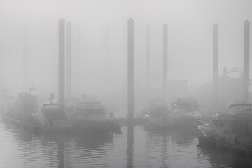 Marina in the morning mist