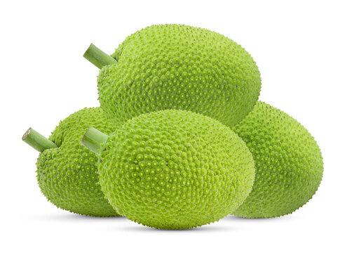 breadfruit on white background
