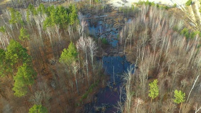 The river is polluted with toxic waste that destroys fauna and flora. Drone view.