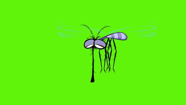 Funny Mosquito Animation In Cartoon Style.
Usable For Games, Preloaders, Websites-eyecatcher
Or Banners For Insecticide Chemical Producers