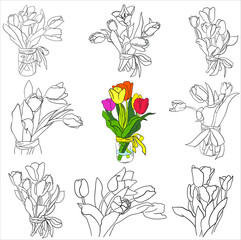 Contour bouquets of tulips in a glass jar and without. - 471050945