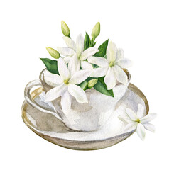 Watercolor illustration of a tea cup with jasmine flowers