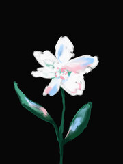 White flower on black background illustration, print. Botanical printable, poster, card, Hand drawn floral design.
