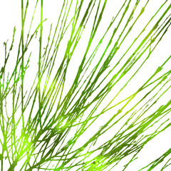 the background of the tree green branch. Vector illustration