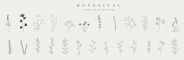 Botanical arts. Hand drawn continuous line drawing of herbs, abstract flower, floral, ginkgo, rose, tulip, bouquet of olives. Vector illustration. © TWINS DESIGN STUDIO