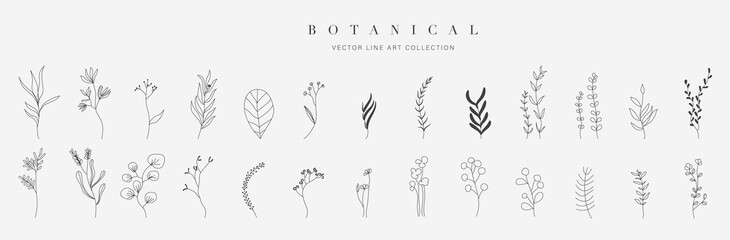 Botanical arts. Hand drawn continuous line drawing of herbs, abstract flower, floral, ginkgo, rose, tulip, bouquet of olives. Vector illustration.