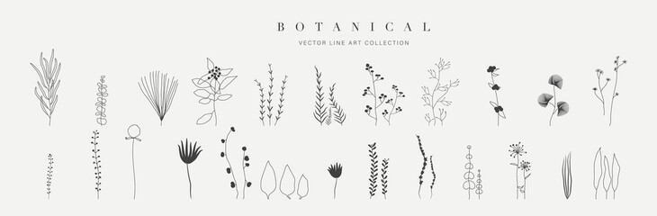 Botanical arts. Hand drawn continuous line drawing of herbs, abstract flower, floral, ginkgo, rose, tulip, bouquet of olives. Vector illustration.