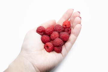 Raspberries in the hands on a white background.