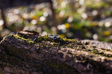 Beautiful wedding ring with white gold and a large blue stone on a tree with green moss
