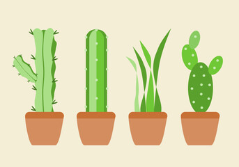 Ornamental house plant green set collections cactus in pot flat vector design.