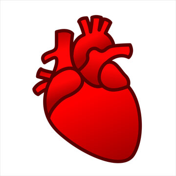 Human heart vector illustration logo icon clipart