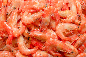 Shrimps background texture. A lot of shrimps. Cooked shrimps.