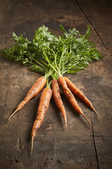 Raw and fresh organic carrot roots on wooden textured kitchen background