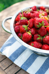 colander with strawberries in the garden