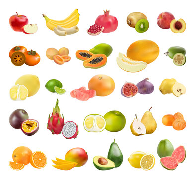 Collection of realistic fruits. Detailed illustrations.