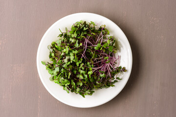 Red cabbage microgreens on a dark background.